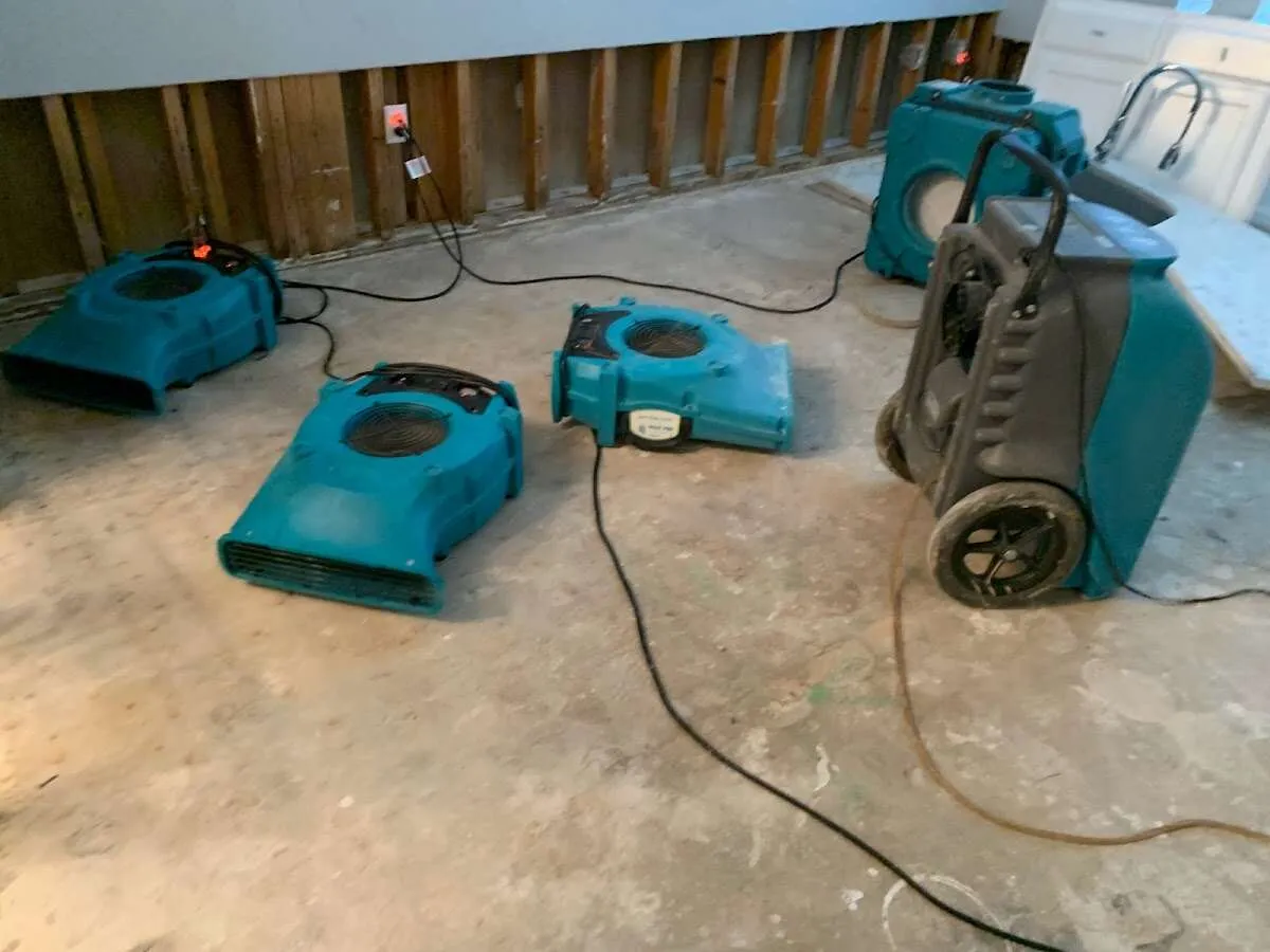 Water Damage Restoration services in Kirkwood, MO